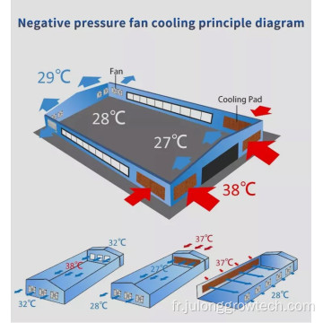 Refroidissement mouillé et ventilateur pour l&#39;agriculture